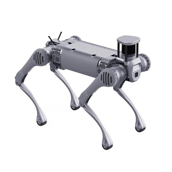 Unitree B2 quadruped industrial robot standing on four legs, designed for inspection, rescue, and logistics operations