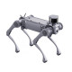 Unitree B2 quadruped industrial robot standing on four legs, designed for inspection, rescue, and logistics operations